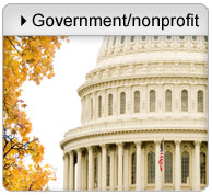 Government purchases